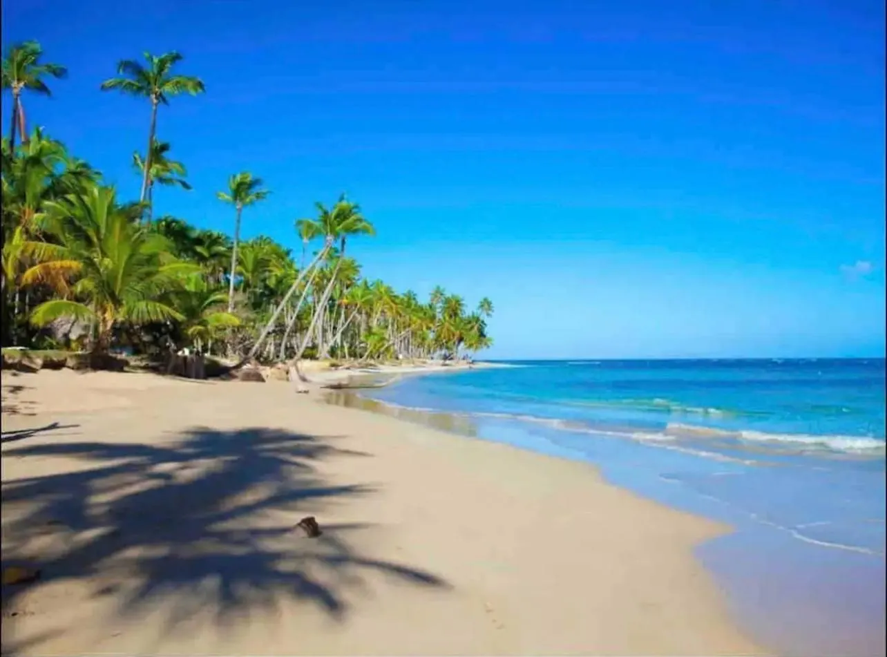 Res Las Ballena Apartment Las Terrenas