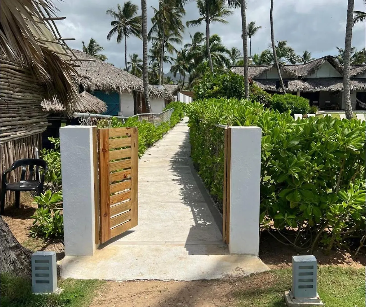 Res Las Ballena Apartment Las Terrenas Dominican Republic